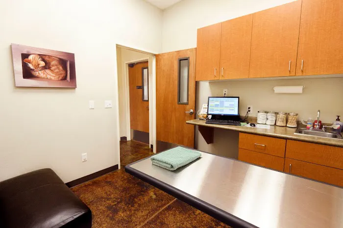 Augusta Ranch Animal Hospital Picture 5