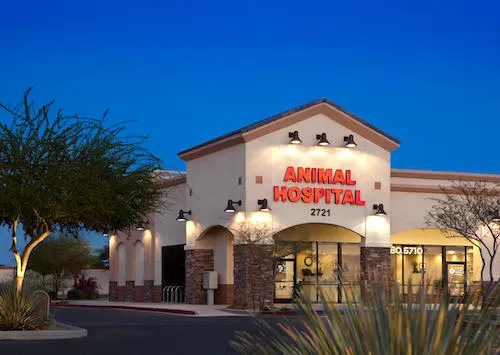 Augusta Ranch Animal Hospital Picture 8