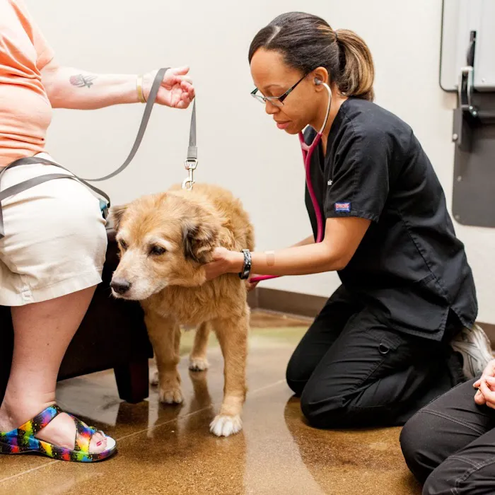 Augusta Ranch Animal Hospital Picture 9