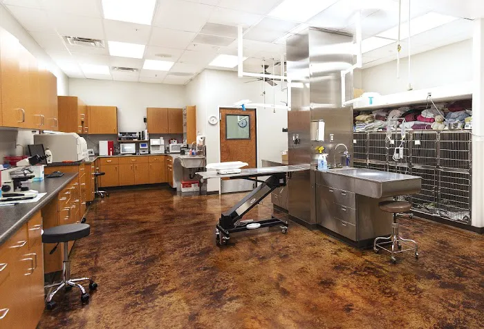 Augusta Ranch Animal Hospital Picture 2