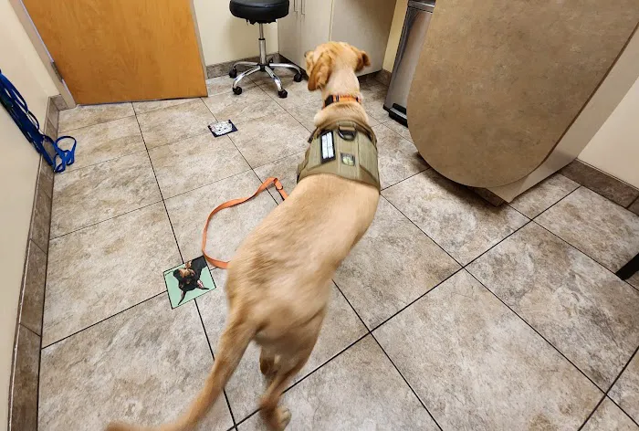 Lovet Pet Health Care - Signal Butte Picture 7