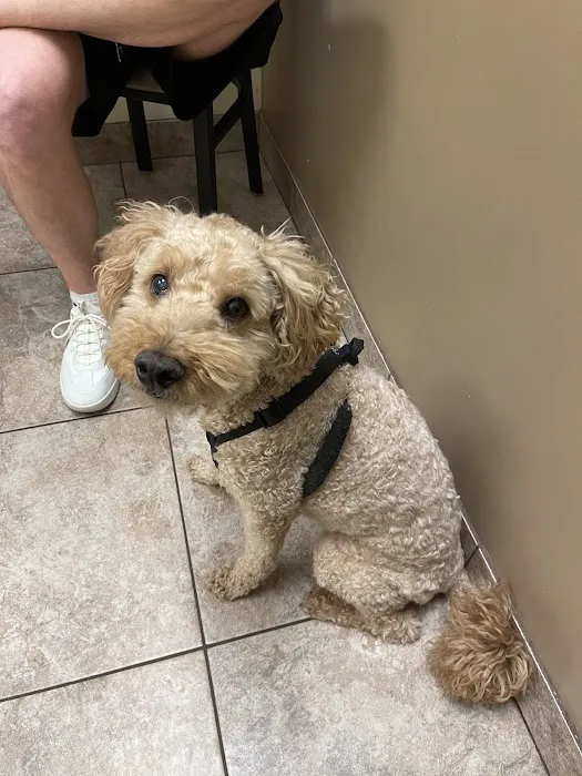 Lovet Pet Health Care - Signal Butte Picture 10