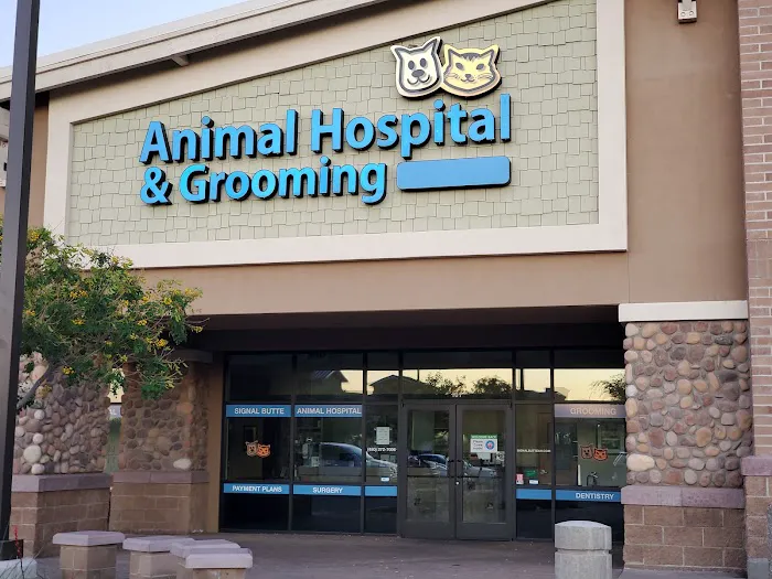 Lovet Pet Health Care - Signal Butte Picture 4