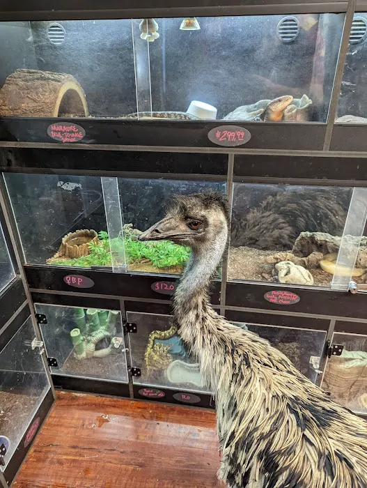 Reptile Junction Picture 4