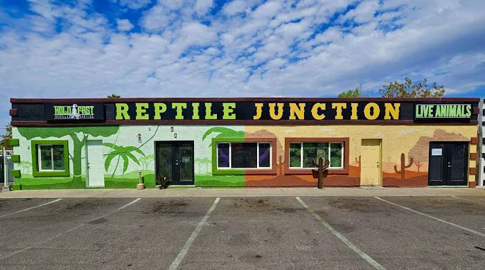Reptile Junction Picture 7