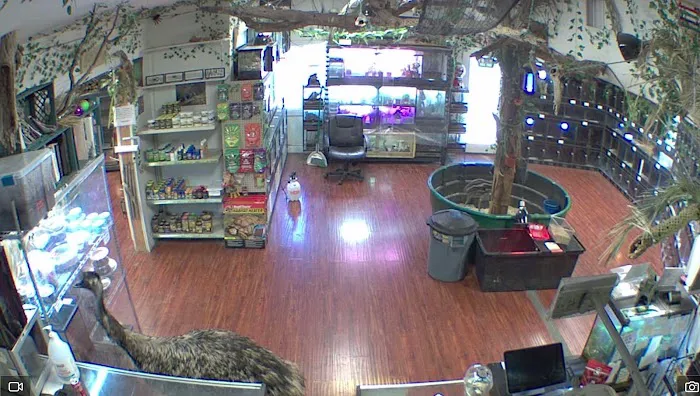 Reptile Junction Picture 2
