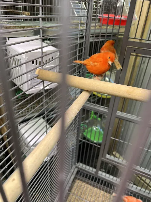 Exotic Bird Aviary Picture 8