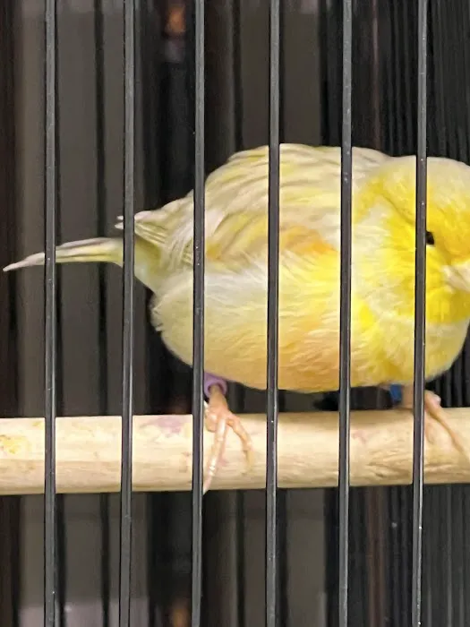 Exotic Bird Aviary Picture 3