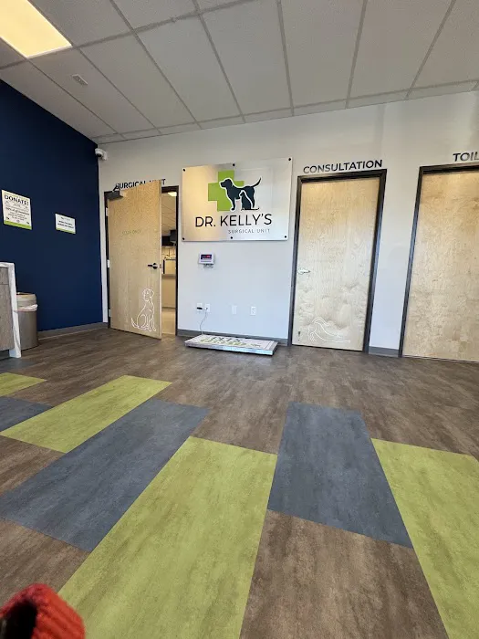 Dr. Kelly's Surgical Unit - Queen Creek Picture 1