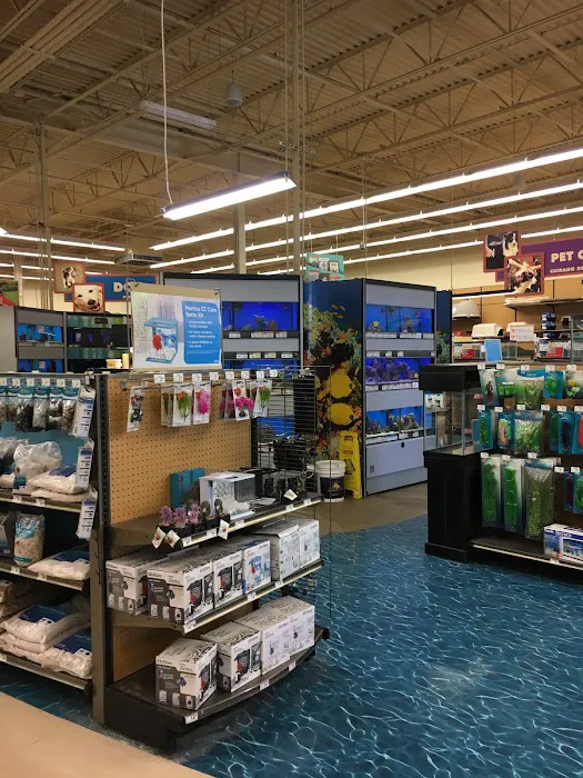 Petco Picture 8