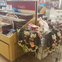 Petco ico