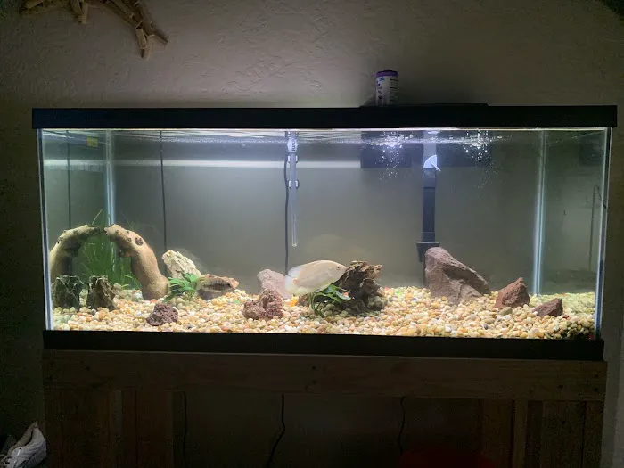 Petco Picture 3