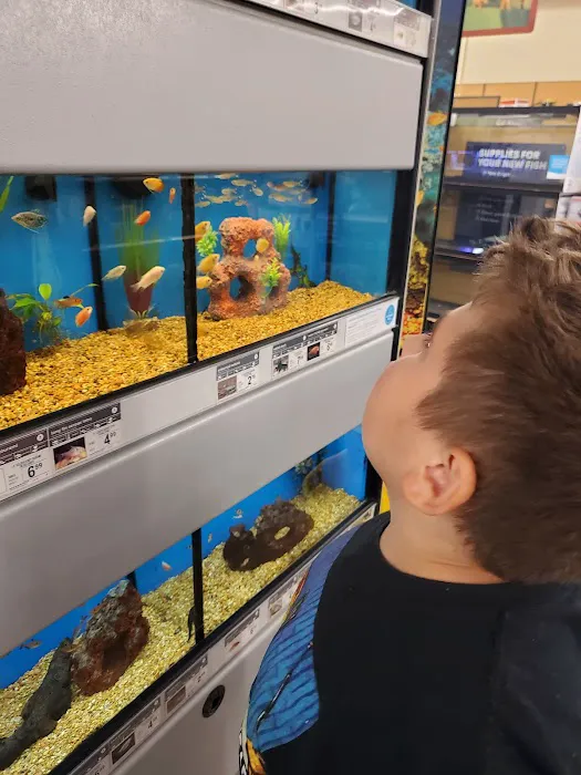 Petco Picture 4
