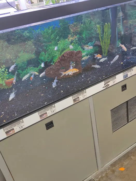 Petco Picture 7
