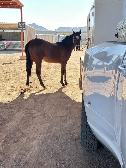 Desert Mountain Equine Picture 3