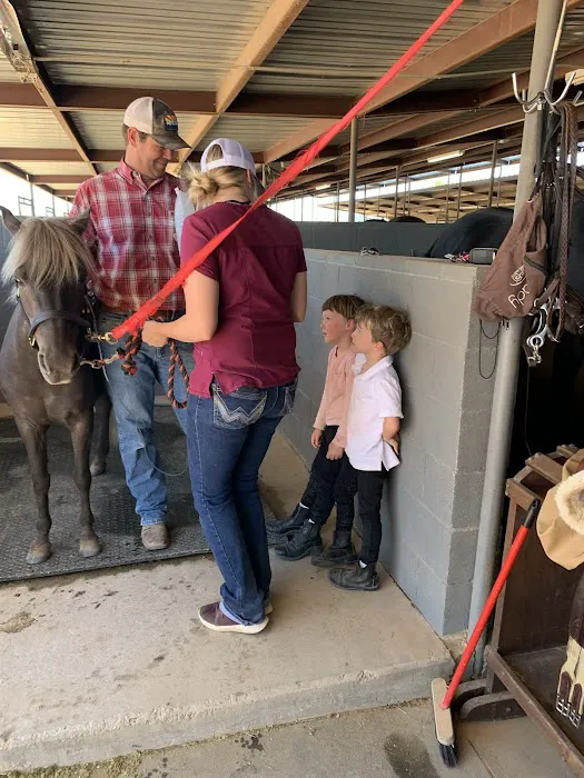 Desert Mountain Equine Picture 6