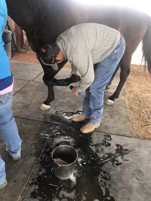 Desert Mountain Equine Picture 1