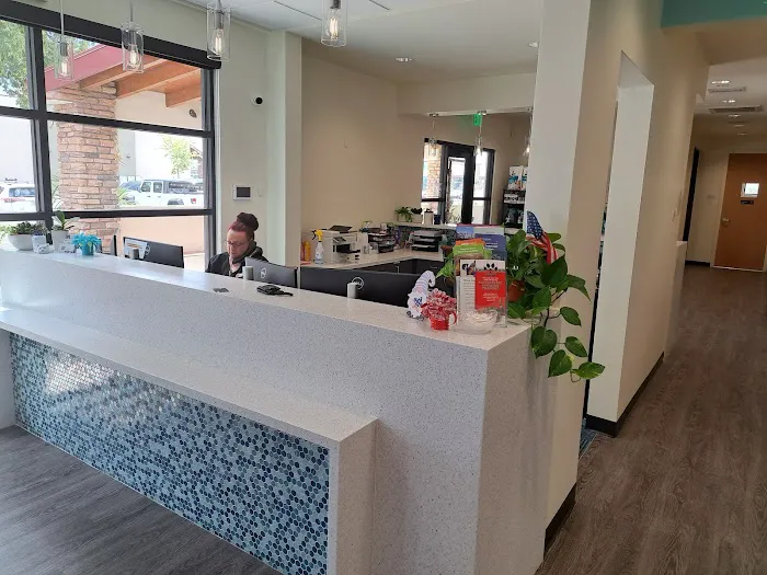 Revel Vet Picture 3