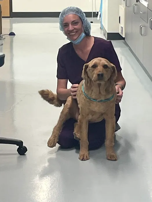 Revel Vet Picture 10