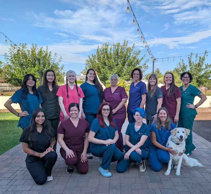 Revel Vet Picture 4