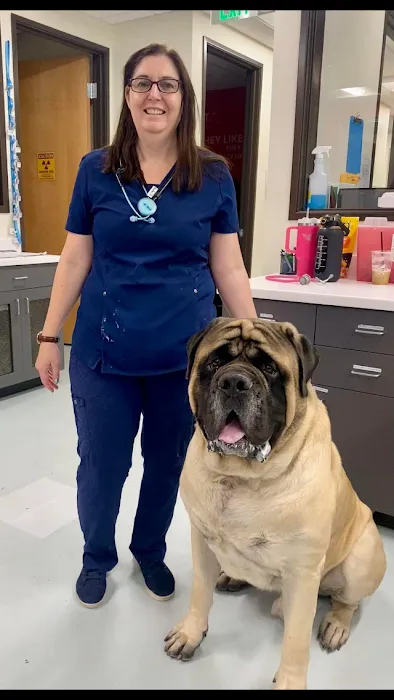 Revel Vet Picture 2