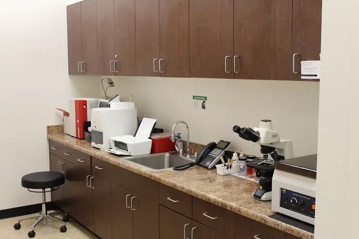 San Tan Animal Hospital Picture 2