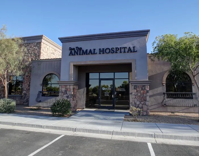 San Tan Animal Hospital Picture 4