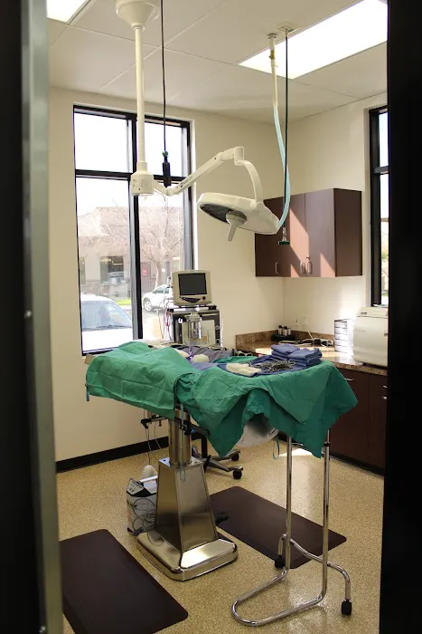 San Tan Animal Hospital Picture 7