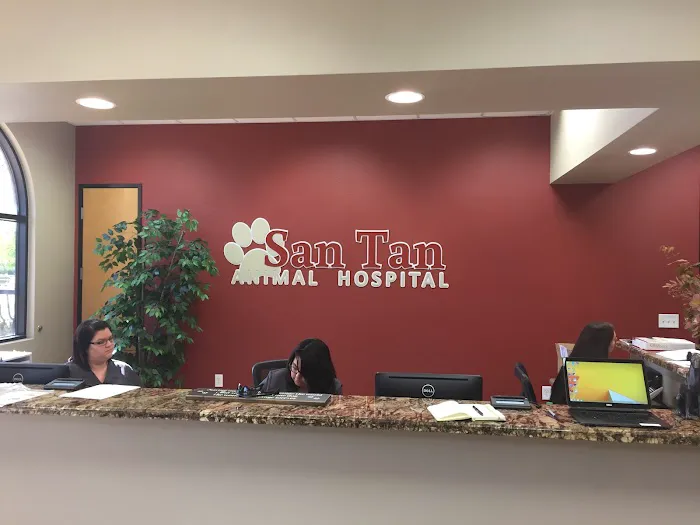 San Tan Animal Hospital Picture 1