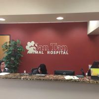 San Tan Animal Hospital ico