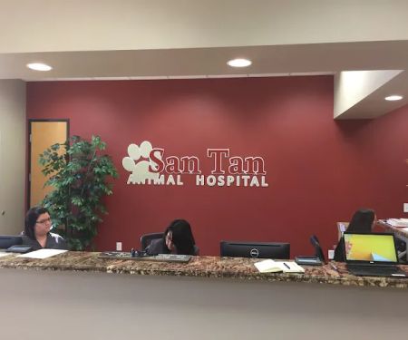 San Tan Animal Hospital