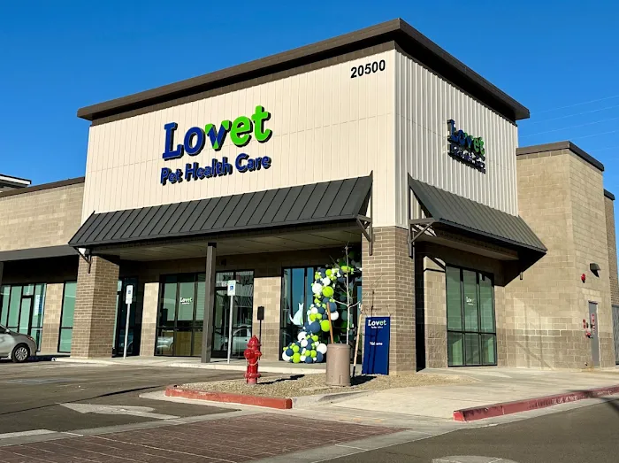 Lovet Pet Health Care - Queen Creek Picture 10