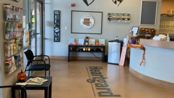 Companion Pet Clinic of Gold Canyon Picture 7