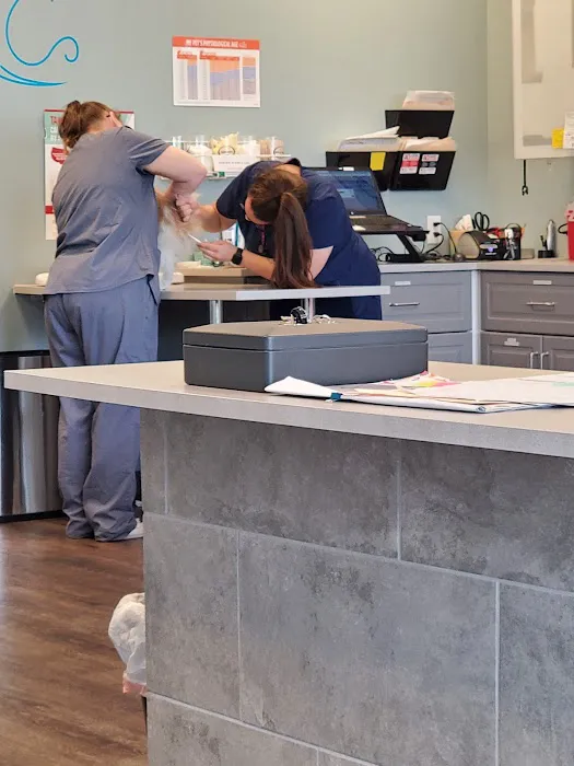 easyvet Veterinarian San Tan Valley Picture 7