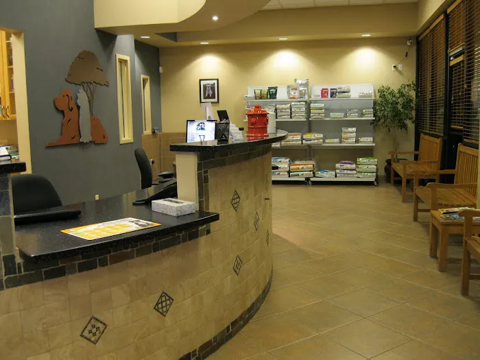 Ironwood Animal Hospital, A Thrive Pet Healthcare Partner Picture 7