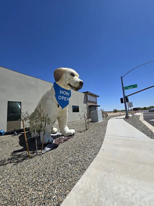 Empire Ranch Veterinary Hospital Picture 2
