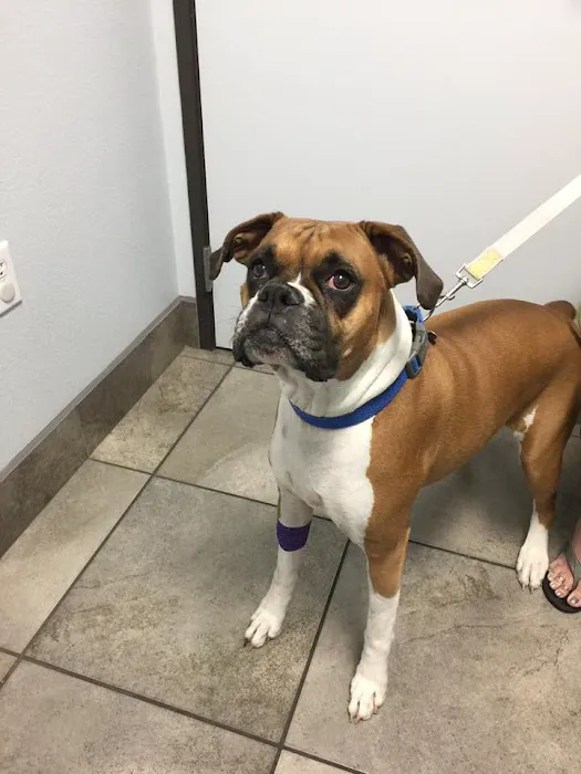 Johnson Ranch Animal Clinic Picture 3