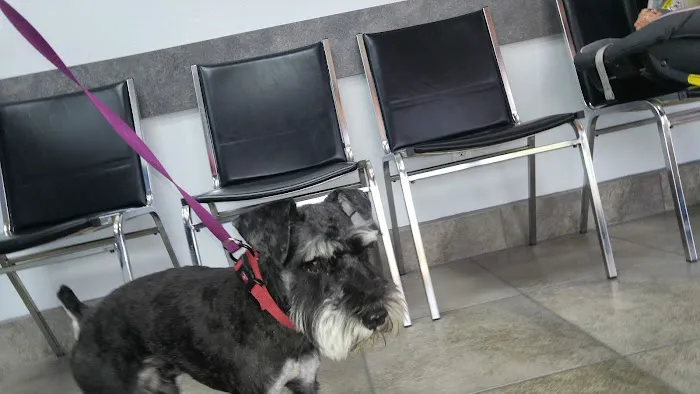 Johnson Ranch Animal Clinic Picture 4