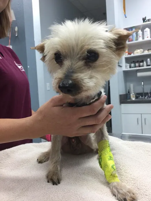 Johnson Ranch Animal Clinic Picture 9
