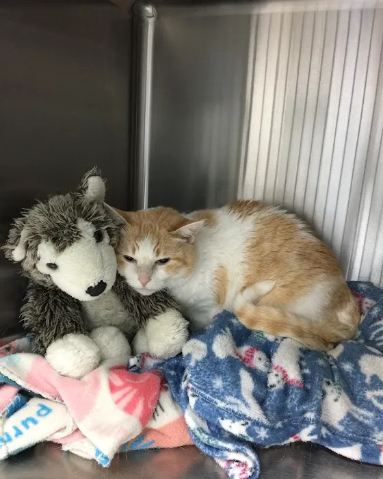 Johnson Ranch Animal Clinic Picture 7