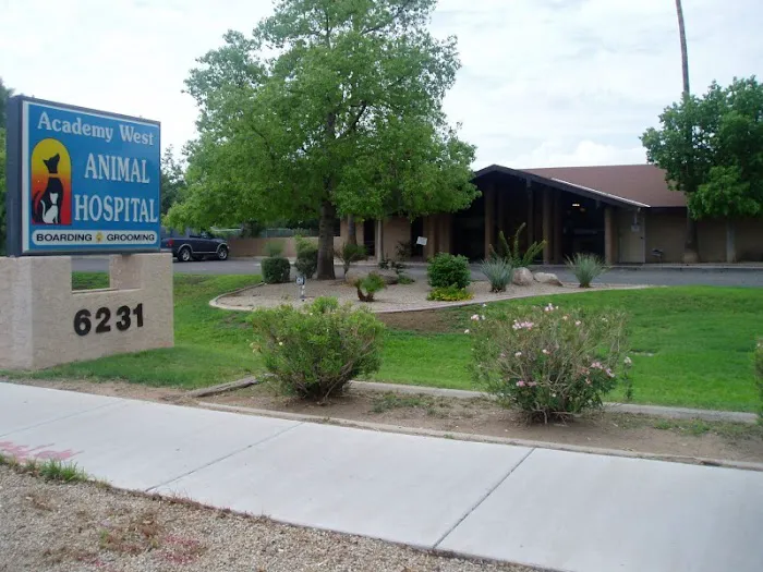 Academy West Animal Hospital Picture 2