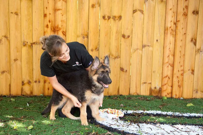 Goshen Animal Clinic Picture 2