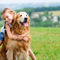 Goshen Animal Clinic ico