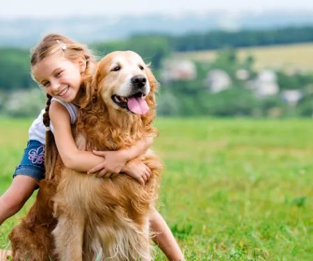 Goshen Animal Clinic