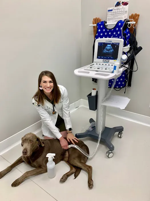 Dogwood Veterinary Clinic Picture 3