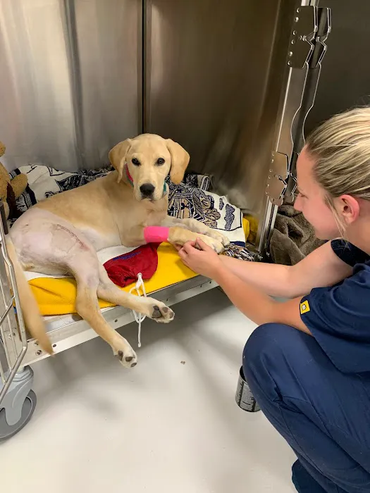 Dogwood Veterinary Clinic Picture 5