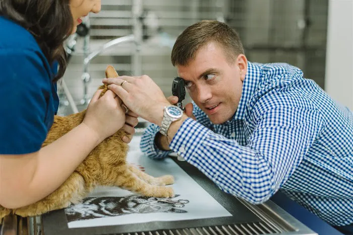 Dogwood Veterinary Clinic Picture 6