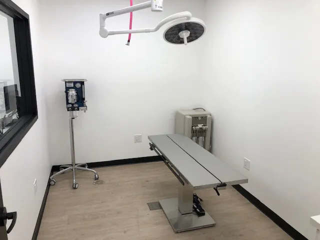 Tisdale Animal Hospital Emergency & Wellness Center Picture 5