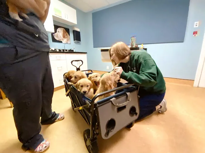 Springhurst Animal Hospital Picture 1