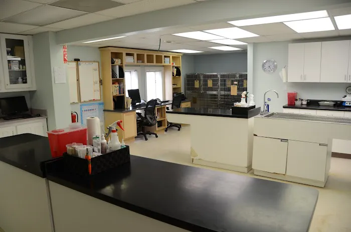Springhurst Animal Hospital Picture 5
